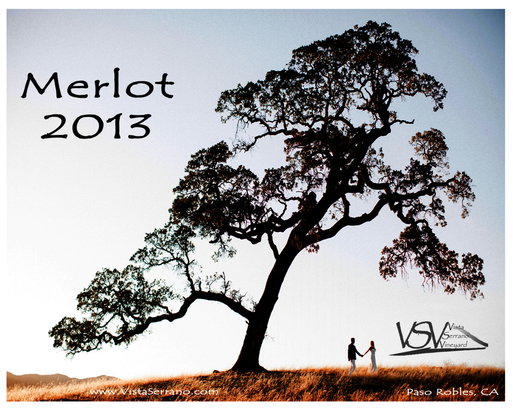 2013 Merlot v09